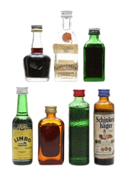 Assorted German Liqueurs & Spirits Jagermeister, Limbo, Schinken Hager, Schlichte, Schladerer, Thienelt 7 x 2cl-5cl