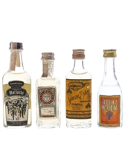 Assorted Tequila Cocal, Mariachi, Olmeca & Sauza 4 x 4.7cl-5cl