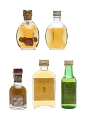 Assorted Scotch Whisky  5 x 5cl