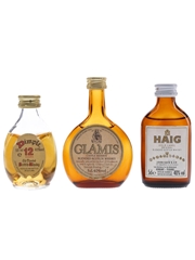 Assorted Blended Scotch Whisky Dimple 12 Year Old, Glamis Castle & Haig Gold Label 3 x 5cl / 40%