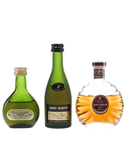 Janneau & Remy Martin Armagnac & Cognac 3 x 3cl-5cl