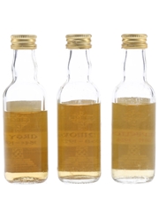 Campbeltown Commemoration 12 Year Old Argyll, Benmore & Campbeltown 3 x 5cl / 40%
