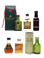 Assorted Whisky Liqueurs Buchanan's, Celting Crossing, Cock O' The North, Irish Mist, Stag's Breath & Wallace 6 x 5cl