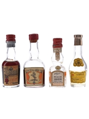 Combier, Garnier & Izarra Liqueurs Bottled 1950s 4 x 3cl-5cl