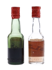 Bols Blackberry & Parfait Amour Bottled 1950s-1960s 2 x 5cl