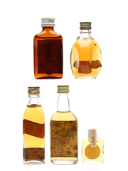 Assorted Scotch Whisky Ballantine's, Haig's Dimple, Johnnie Walker, Teacher's, Whyte & Mackays 5 x 1cl-5cl