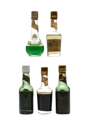 Von Berckel's Parrot Brand Very Fine Liqueurs Bottled 1940s 5 x 3cl