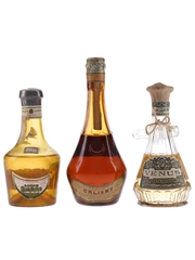 Assorted Spanish Liqueurs Bottled 1940s-1950s 3 x 5cl-10cl