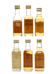 Assorted Blended Scotch Whisky Defender, Golden Beneagles, James Martin, Kilchurn Castle, Red Hackle & The Real Mackenzie 6 x 5cl / 40%
