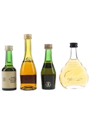 Assorted Armagnac, Calvados & Cognac Janneau, Anee, Marnier Lapostolle, Meukow 4 x 3-5cl