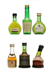 Assorted Armagnac & Cognac Calvados, Janneau, Marquis De Puysegur, Napoleon, Prince Hubert & Saint Vivant 6 x 3cl-5cl