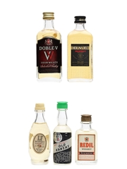 Assorted World Whisky Doble V, DYC, LF, Old Kansas & Redil 5 x 2.5cl-5cl