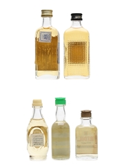 Assorted World Whisky Doble V, DYC, LF, Old Kansas & Redil 5 x 2.5cl-5cl