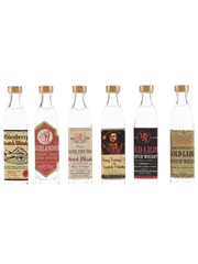 Assorted Blended Scotch Whisky Glenberry, Highlander, Highland Vale, King Henry VIII, Red Lion & Salisbury 6 x 1cl / 40%
