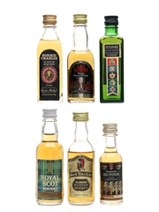 Assorted Blended Scotch Whisky Bonnie Charlie, Old Court, Passport, Red Hackle, Royal Scot & Seagram's 6 x 3cl-5cl / 40%