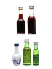 Assorted Liqueurs Bols, Cinzano, De Kuyper & Pernod 5 x 2-5cl