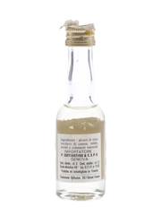 Chartreuse Yellow Soffiantino 3cl / 40%