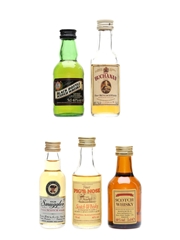 Assorted Blended Scotch Whisky Black Bottle, Buchanan, Old Smuggler, Pig's Nose & Scotch Whisky 5 x 3cl-5cl / 40%