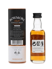 Bowmore Enigma 12 Years Old  5cl