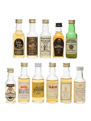 Assorted Blended Scotch Whisky 11 x 5cl 