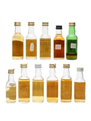 Assorted Blended Scotch Whisky 11 x 5cl 