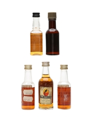 Assorted American Whiskies  5 x 5cl