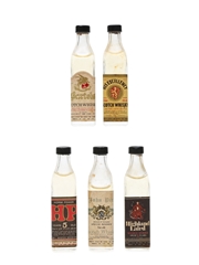 Assorted Blended Scotch Whisky  5 x 2cl