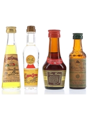 Assorted Liqueurs Galliano, Mandarine Napoleon, Strega & Tia Maria 4 x 3cl-5cl