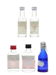 Assorted Vodka Chekov, Huzzar, Romanoff & Royalty 5 x 5cl