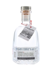 Caorunn Small Batch Scottish Gin Balmenach Distillery 70cl / 41.8%