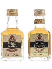 White Heather 5 Year Old & 8 Year Old