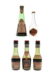 Dolfi & Rocher Bottled 1950s-1960s 5 x 3cl-5cl