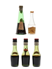 Dolfi & Rocher Bottled 1950s-1960s 5 x 3cl-5cl
