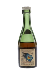 Remy Martin VSOP Bottled 1950s-1960s 5cl / 40%