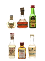 Assorted Liqueurs Bottled 1950s-1970s 6 x 2cl-4cl