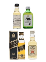 Assorted Blended Scotch Whisky Bailie Nicol Jarvie, Black & White, Johnnie Walker & Whyte & Mackay 4 x 5cl / 40%