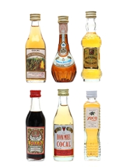 Assorted Spanish Spirits & Liqueurs  6 x 4cl-5cl