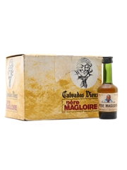 Pere Magloire Calvados Vieux