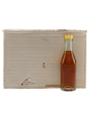 Napoleon VSOP Bottled 1960s-1970s 11 x 3cl / 40%