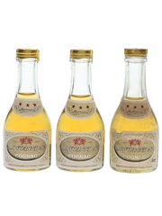 De Royanne 3 Star Bottled 1960s-1970s 3 x 3.5cl / 40%