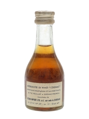 Guillot 20 Year Old VSOP Bottled 1960s-1970s - Rejna Import 2.9cl / 40%