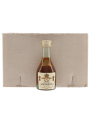 Guillot Napoleon Cognac Bottled 1960s-1970s - Rejna Import 11 x 2.9cl / 40%