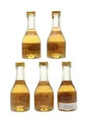 Lansac Napoleon VSOP Bottled 1970s 5 x 3cl / 40%