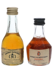 Marquis De Montesquiou & Pellison Pere Bottled 1970s - Rinaldi 2 x 3cl / 40%