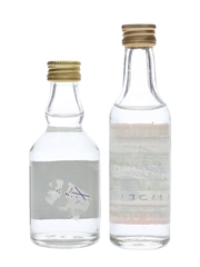 Belarus & Stolichnaya Vodka  2 x 5cl / 40%