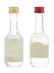 Bols Kummel Extra Dry Bottled 1970s 2 x 3cl / 38%