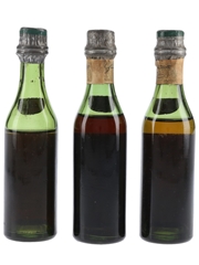 Martini Vino Vermouth Bottled 1950s 3 x 5cl / 17%