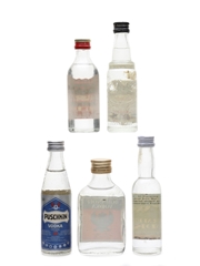 Assorted Vodka Borzoi, Greenland, Karloff, Puschkin & Romanoff 5 x 4cl-5cl