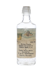 Sauza Tequila Blanco Bottled 1960s - R&C Vintners 5cl / 38%