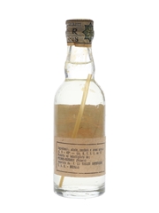 Zubrowka Bison Brand Vodka Bottled 1970s - Rinaldi 5cl / 40%